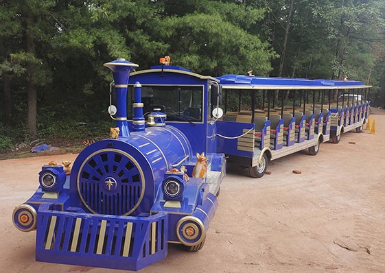 58座觀光火車-場景應(yīng)用