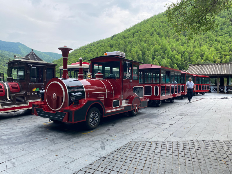 定制景區(qū)電動小火車